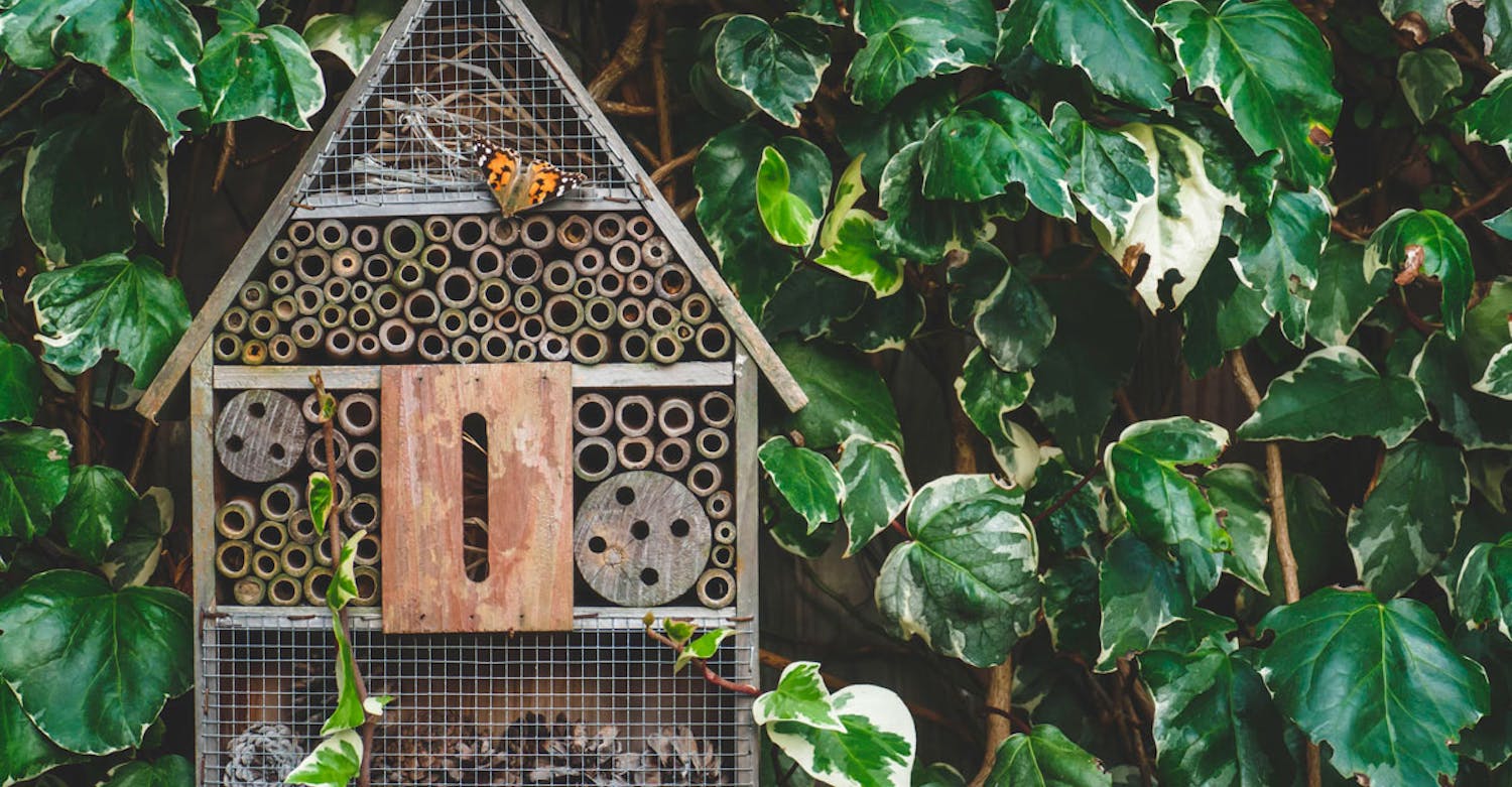 Eksempel på insekthotel Hjemmelavet Insekthotel
